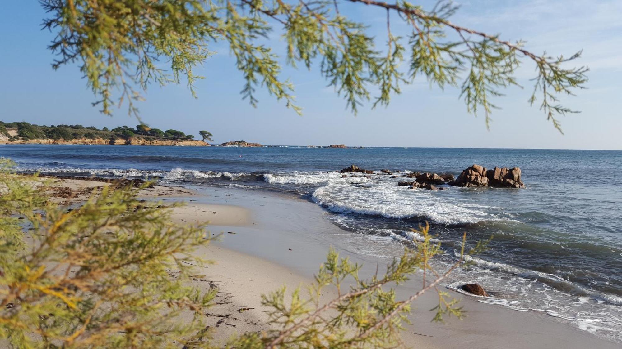 Locations Residence Rocca Rossa Palombaggia Classees 3 Etoiles Porto-Vecchio  Dış mekan fotoğraf