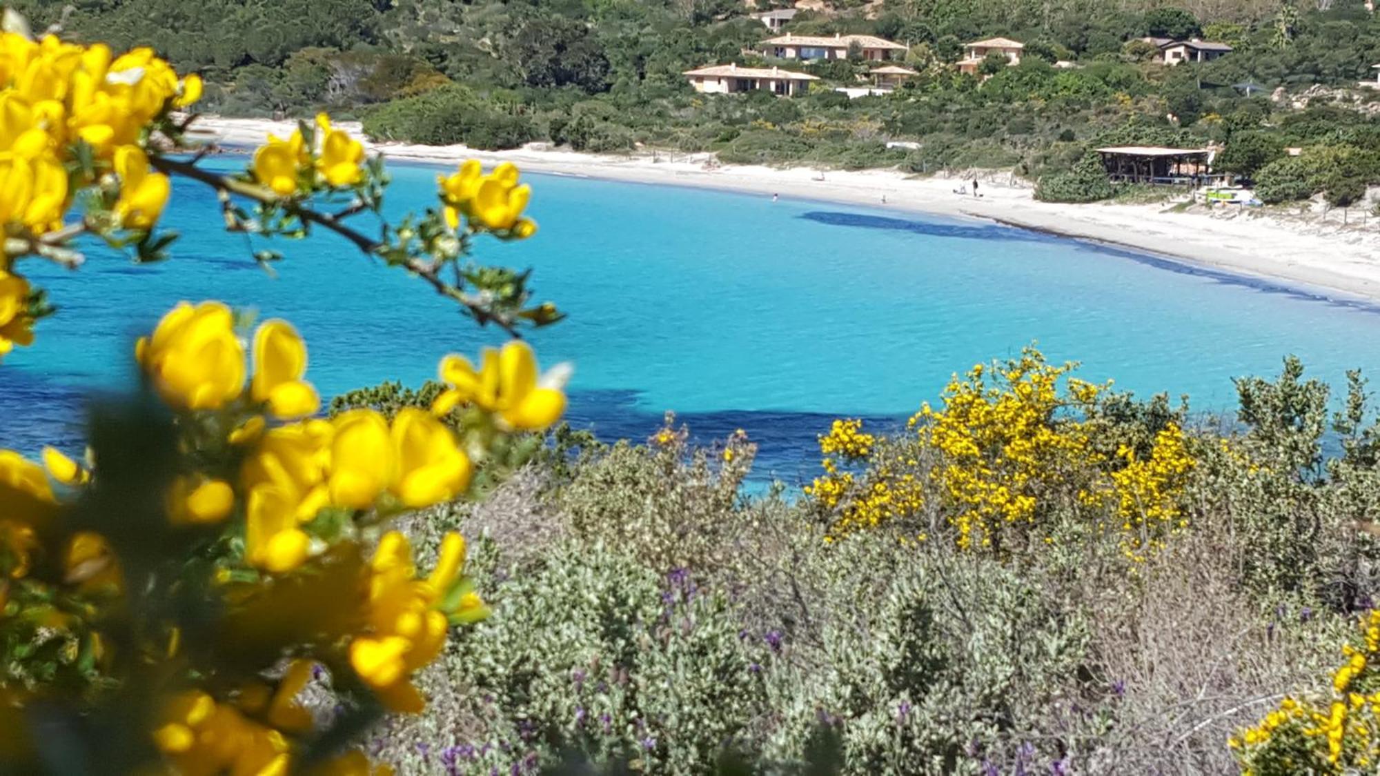 Locations Residence Rocca Rossa Palombaggia Classees 3 Etoiles Porto-Vecchio  Dış mekan fotoğraf